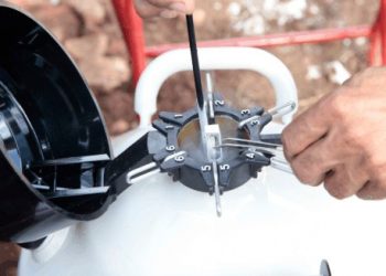 Marcelino Ramos é incluído em programa de distribuição de sêmen