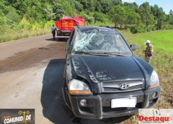 Moradora de Marcelino Ramos capota veículo na ERS-331 em Viadutos