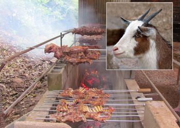 Gastronomia: Comunidade do interior de Viadutos realiza “Festa do Cabrito”