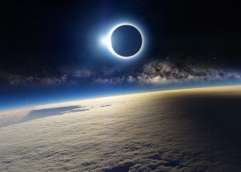 Ninho de João-de-Barro é destruído em Marcelino e gera indignação de morador