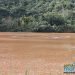 Fim do mistério: Tractebel esclarece manchas no Lago em Marcelino Ramos