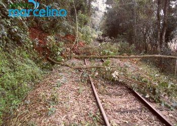 Passeios de Maria Fumaça estão suspensos em razão da queda de barreiras e deslizamentos na estrada de ferro