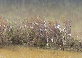 Lago em Marcelino volta ao nível normal e revela falta de consciência ambiental