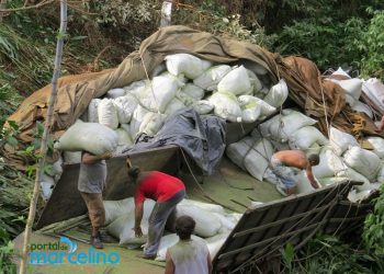 Caminhão com Erva-Mate despenca em ribanceira entre Alto Bela Vista e Marcelino Ramos