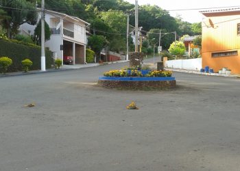 Vândalos voltam a agir em Marcelino Ramos desta vez arrancando flores de canteiro