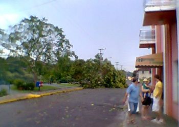 Temporal derruba árvore no Belvedere em Marcelino Ramos interditando trânsito