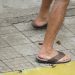 Calçada da rua Independência se transforma em sanitário para cães