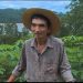 Agricultor Japonês que mora em Marcelino Ramos é tema de reportagem na TV Globo