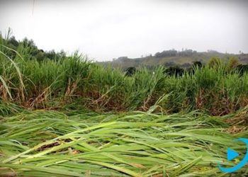 Ufólogo analisa imagens misteriosas registradas no interior de Viadutos