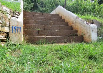 Degraus para a história