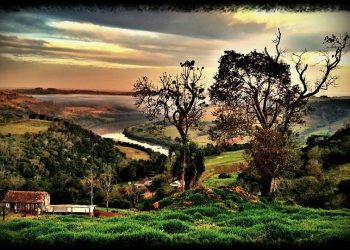 Uma simples imagem do cotidiano, se transforma em obra de arte