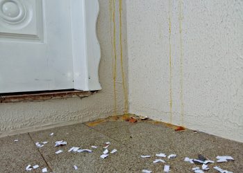 Halloween: Doces ou vandalismo?