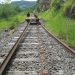 Trabalho de manutenção da ferrovia preserva a história na região de Marcelino Ramos