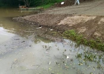 Mortandade de peixes no lago em Marcelino Ramos e Alto Bela Vista