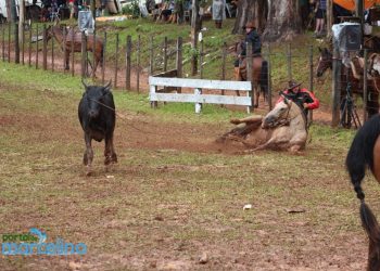 Sequência de fotos mostra acidente com Laçador no Rodeio de Pinhalzinho