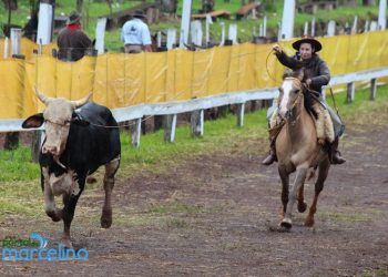 Lama, adrenalina e muita habilidade no Rodeio de Pinhalzinho. Veja como foi o evento