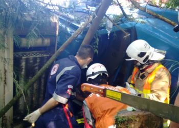 Caminhão tomba na BR-153 em Marcelino Ramos