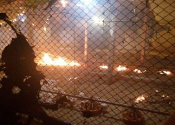 Incêndio destrói aviário em Alto Bela Vista