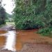 Riacho transborda e cobre pontilhão da comunidade de Nossa Senhora da Saúde