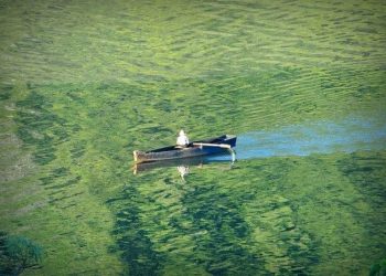 Na força do braço idoso rema contra a maré da idade em Marcelino Ramos