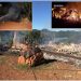 Sete casas destruídas por incêndios em menos de 2 anos em Marcelino Ramos