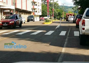 CUIDADO: Tem garça na faixa de segurança em Marcelino!