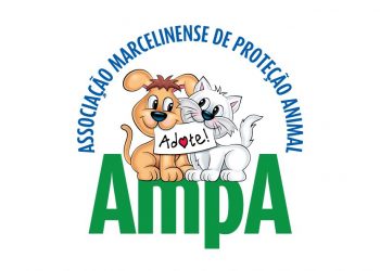 AMPA arrecada mais de R$ 4 mil com leilão de produtos