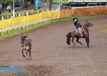Rodeio de Pinhalzinho acontece neste sábado e domingo. Confira a programação