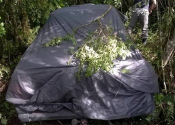 Bando que assaltou bancos em Maximiliano de Almeida pode estar escondido no mato