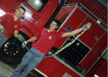 Arabutã: Homem acorda de madrugada para ir ao banheiro e encontra cobra de 2,3metros