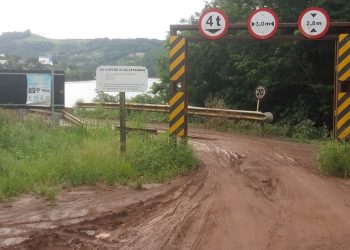 Mato está tomando conta da cabeceira da ponte rodoferroviária em Alto Bela  Vista