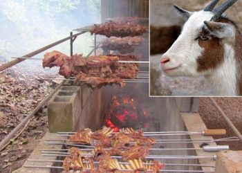 Depois do Boi Recheado, Viadutos se prepara para a Festa do Cabrito no espeto