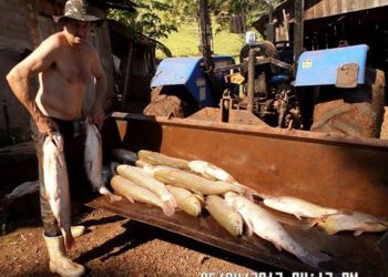 Começa a safra de peixes em Marcelino Ramos para a Sexta-Feira Santa