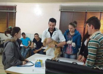 Curso de auxiliar de VETERINÁRIO e ZOOTECNIA será oferecido em Concórdia