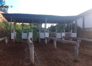 Treinador perde a vida em Viadutos esmagado por cavalo