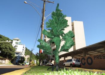 ASCOBOL distribui árvores de Natal aos associados no Balneário
