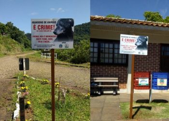 AMPA distribui placas alertando população sobre abandono de animais