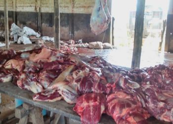 Abatedouro clandestino é alvo de operação no interior de Viadutos