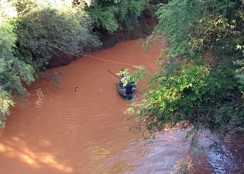 Laudo confirma que menino de 12 anos foi morto por cobra gigante no RS