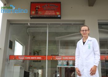 Conheça os serviços que o Pet Shop SÃO FRANCISCO oferece em Marcelino Ramos, entre eles o TÁXI DOG