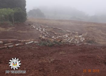 Polícia localiza desmatamento no interior de Viadutos