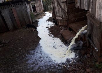 Greve dos caminhoneiros obriga produtor de Marcelino Ramos descartar mais de mil litros de leite