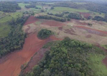 PATRAM flagra desmatamento de 5 hectares no interior de Machadinho