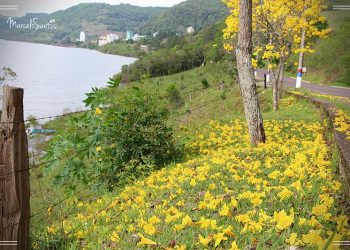 Chegou a Primavera também na terra das Águas Termais