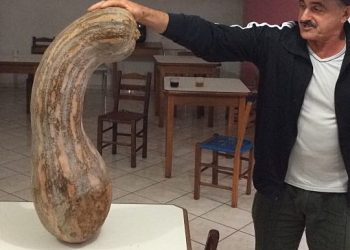 Safra de gigantes: Abóbora de 30 quilos é colhida em Marcelino Ramos