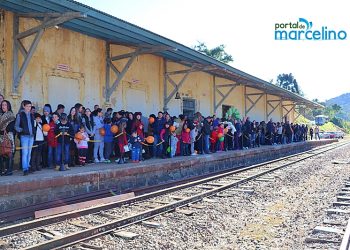 Ação Social: Parceria da ABPF com SICREDI arrecada mais de 300kg de alimentos em passeio de Trem