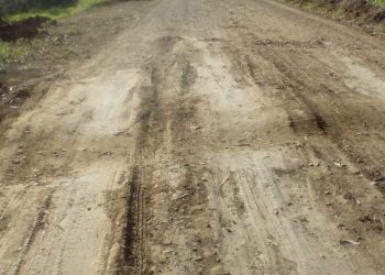 Moradores voltam a cobrar melhorias ERS-491 entre Marcelino Ramos e a BR-153