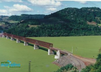 Plantas aquáticas tomaram conta do lago em Marcelino Ramos logo depois do enchimento da barragem