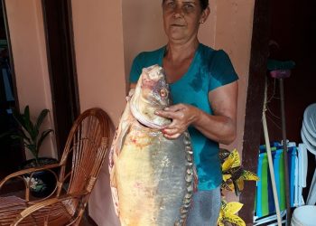 Gigante do lago:  Peixe de 12kg é pescado no lago em Marcelino Ramos