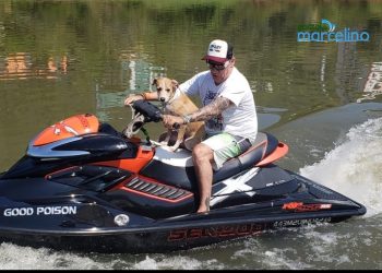 Conheça “Seu Osvaldo”. Um cão que junto com seu dono curte o lago passeando de Jet Sky